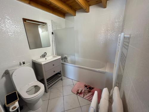 a bathroom with a toilet and a sink and a tub at Pets Home by Oxyne in Louches