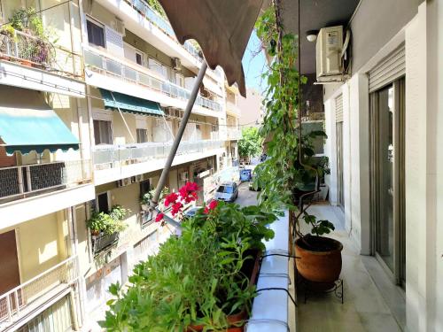 City Nest Panormou