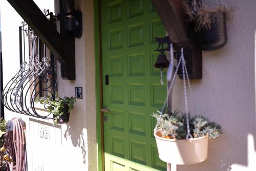 a green door with potted plants on a building at The Comfy Apartment in Ponte Capriasca