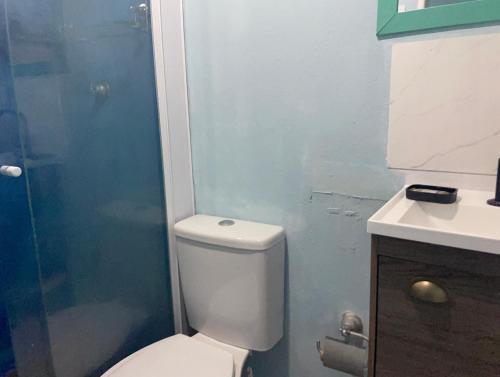 a bathroom with a shower and a toilet and a sink at Loft Sousas in Campinas