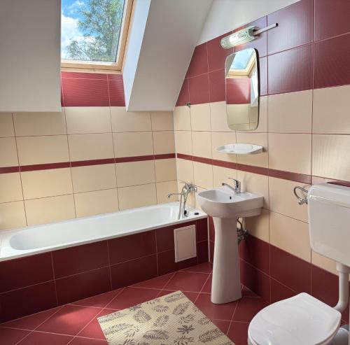 a bathroom with a sink and a tub and a toilet at Vila Gemenii in Sovata