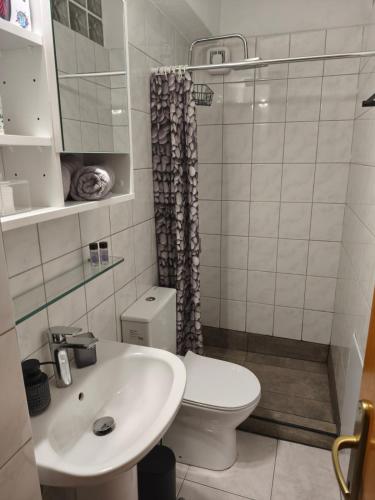 a small bathroom with a toilet and a sink at Sofia in Komotini