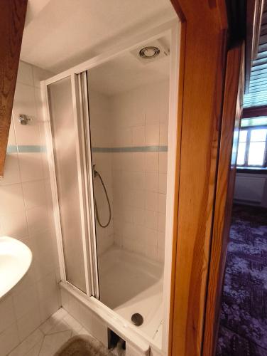 a shower with a glass door in a bathroom at Pension V Doubí in Slavče