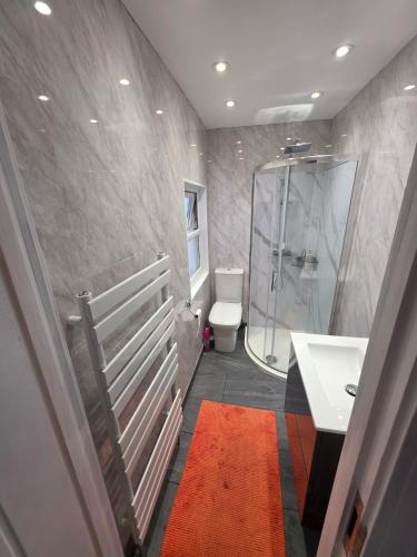 a bathroom with a shower and a toilet and a sink at The Coastal Nest in Folkestone