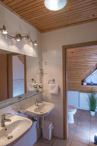 a bathroom with two sinks and a mirror and a toilet at B&B Na Kluk in Idrija