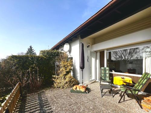 a dog laying on a pillow on a patio at Cozy cottage in Lichtenau