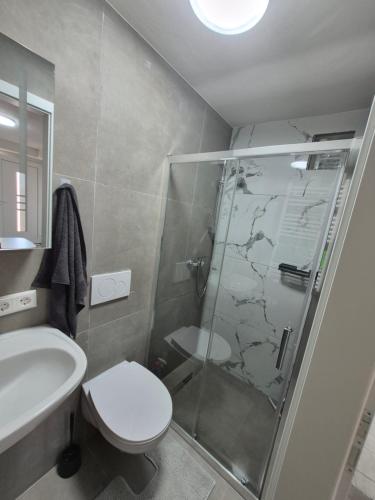 a bathroom with a shower and a toilet and a sink at Nektarioss in Kernen