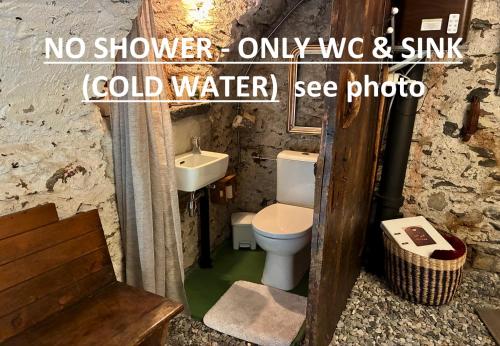a small bathroom with a toilet and a sink at THE OLD CELLAR no shower! in Locarno