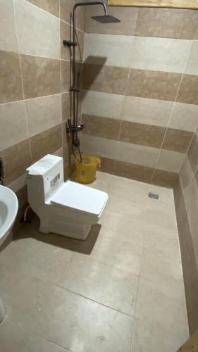 a bathroom with a toilet and a sink at Gems Palace Hotel Naltar in Jugut