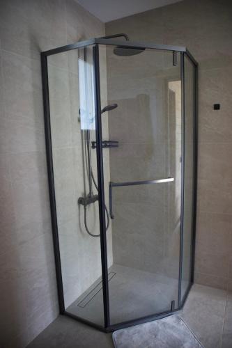 a shower with a glass door in a bathroom at Barnhouse VOLOVETS in Volovets