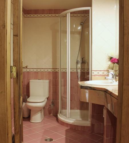 a bathroom with a toilet and a shower and a sink at Casa Moinho da Levada - Refúgio à beira do rio Coura in Paredes de Coura