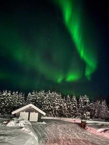 an image of the aurora borealis in the sky at Treeline Cottage in Rovaniemi