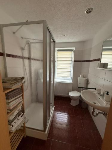 a bathroom with a shower and a toilet and a sink at Ferienwohnung am Gothewanderweg in Schwarza