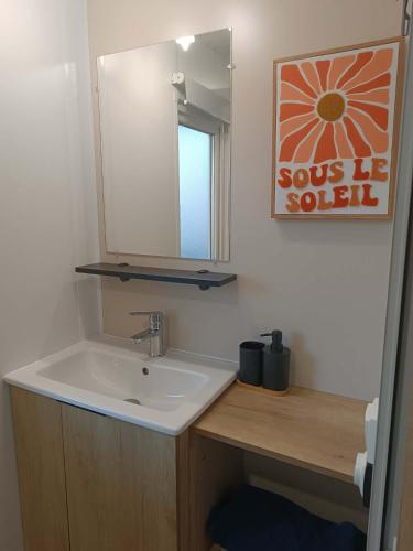 a bathroom with a sink and a mirror at Lesoleil in Canet-en-Roussillon