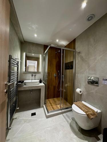 a bathroom with a shower and a toilet and a sink at Malama's apartment in Neos Marmaras