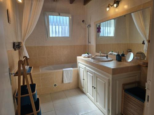 a bathroom with a sink and a tub and a mirror at Ti kaz Annah in Le Tampon