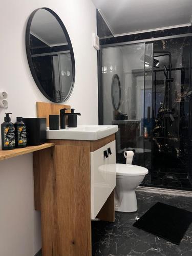 a bathroom with a sink and a toilet and a mirror at RUX Central Park in Petroşani