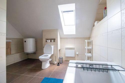 a bathroom with a toilet and a bath tub at Apartmán 7J in Hnanice