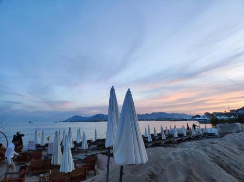 Cannes Appartement Climatisé Vue Mer Piscine & Parking