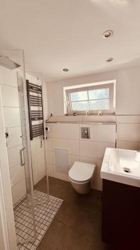 a bathroom with a toilet and a sink at Joachims Ruhe in Joachimsthal
