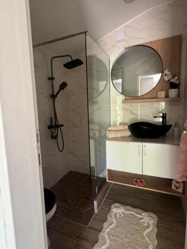 a bathroom with a shower with a sink and a mirror at Danguba 5 in Nova Pazova
