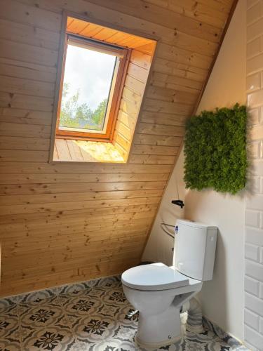 a bathroom with a toilet and a window at A-frame Noa Cabin in Teşila