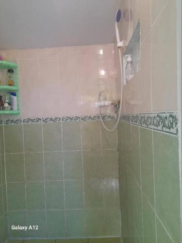 a shower in a bathroom with green tiles at Кооператив Радуга in Rasseyka