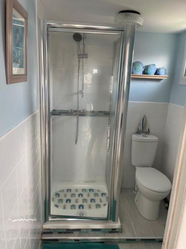 a shower in a bathroom with a toilet at Sheppey Village Ollie in Leysdown-on-Sea