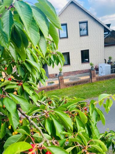 a house with a tree in front of it at Ferienwohnung Düring in Loxstedt