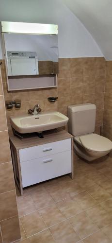 a bathroom with a sink and a toilet and a mirror at Casa Silvia in Promontogno