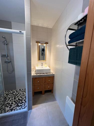 a bathroom with a sink and a shower at Chamalobri in Labeaume