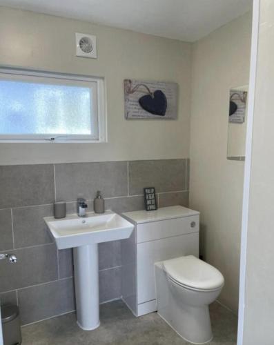 a bathroom with a toilet and a sink and a window at Cosy Cabin in Bucks Mills
