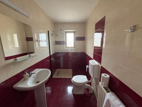 a bathroom with a toilet and a sink at Vila dintre Brazi in Moieciu de Jos