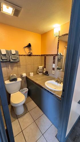 a bathroom with a toilet and a sink at Blue Mountain Motel in Okanogan