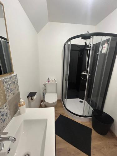 a bathroom with a shower with a toilet and a sink at Le refuge des coteaux in Trelou Sur Marne
