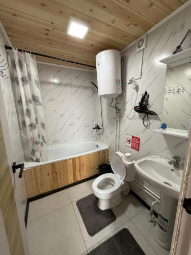 a bathroom with a toilet and a tub and a sink at Naryn Barnhouses in Naryn