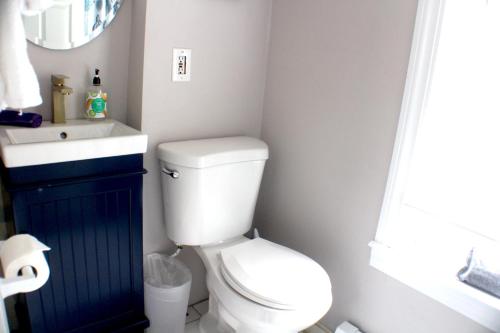 a bathroom with a white toilet and a sink at Pet friendly cottage near Boston in Canton