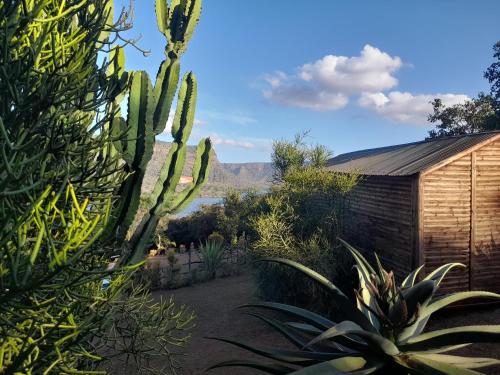 a view of a garden with a cactus and a building at Entendeni Lodge SelfCatering in Inanda