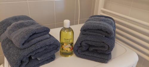 two towels and a bottle of soap on a toilet at Apartma Rožmarin Bohinj in Bohinj