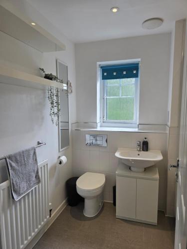 a white bathroom with a toilet and a sink at Grace's Place in Milton in Milton