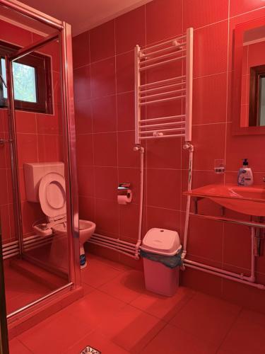 a red bathroom with a toilet and a sink at Casa Mario in Dragoslavele