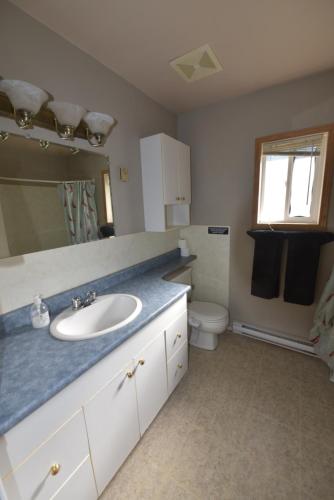 a bathroom with a sink and a toilet at Equus Acres in Boston Bar