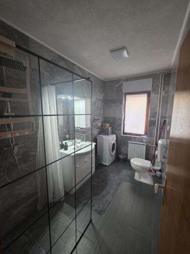 a bathroom with a shower and a sink and a toilet at apartmaji Lejla in Vipava