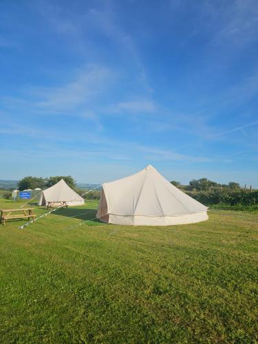 two large white tents in a field of grass at Summit Camping Kit Hill Rd Cornwall in Callington