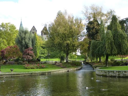 a pond in a park with ducks in the water at Aparthotel Paderborn in Paderborn