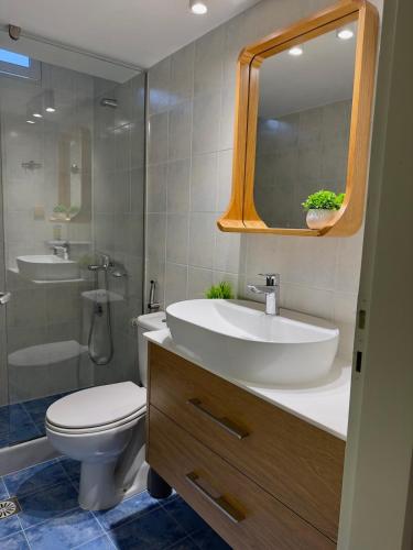 a bathroom with a sink and a toilet and a mirror at Litmus apartment 4 in Karlovasi