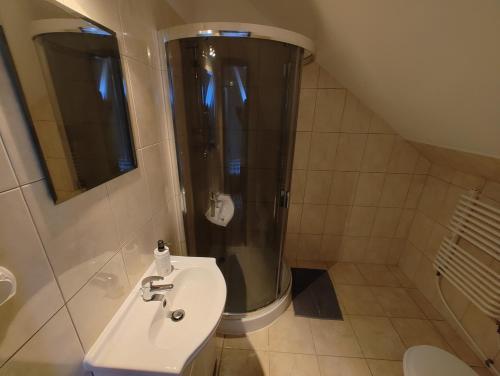 a bathroom with a shower and a sink at Agroturystyka Biedrzycki in Nowe Guty
