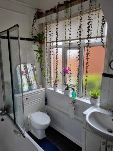 a bathroom with a toilet and a sink and a window at Beautiful ground floor 2 bed flat in Camberley