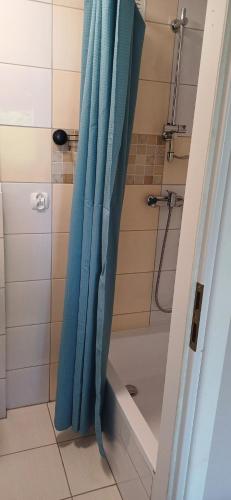 a shower with a blue shower curtain in a bathroom at Siedlisko na Skarpie in Garcz