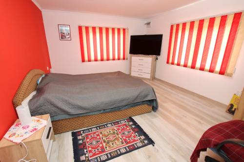 a small bedroom with a bed and a television at Kicsipatak vendégház in Lunca de Sus
